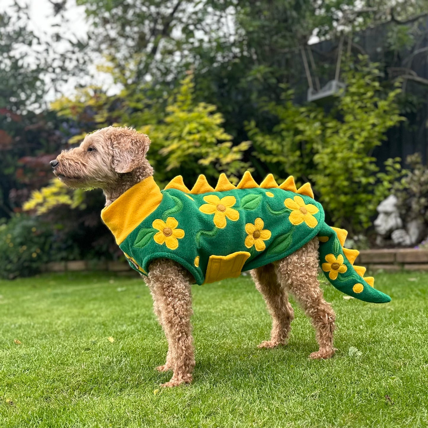 Small Limited Edition Flower Dino Coat with detachable tail (ONLY 1 AVAILABLE)