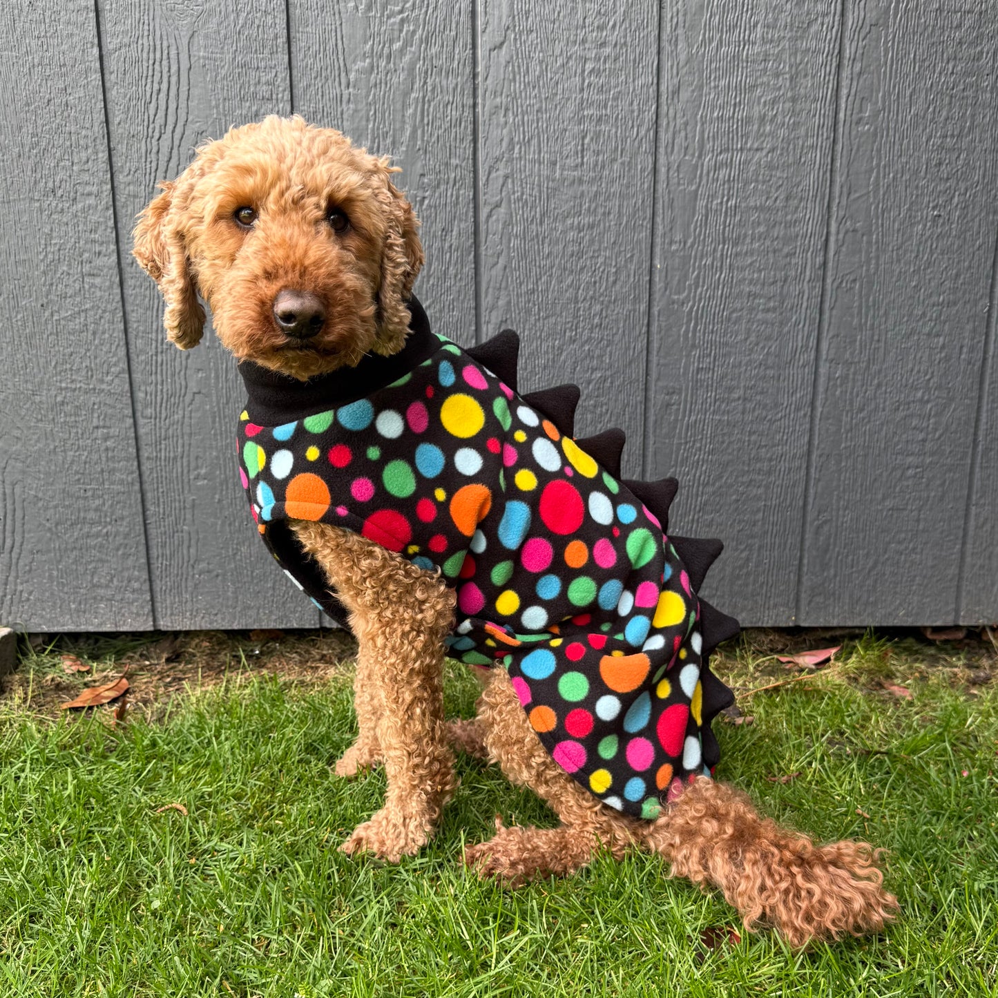 Dotty Dino Fleece Coat
