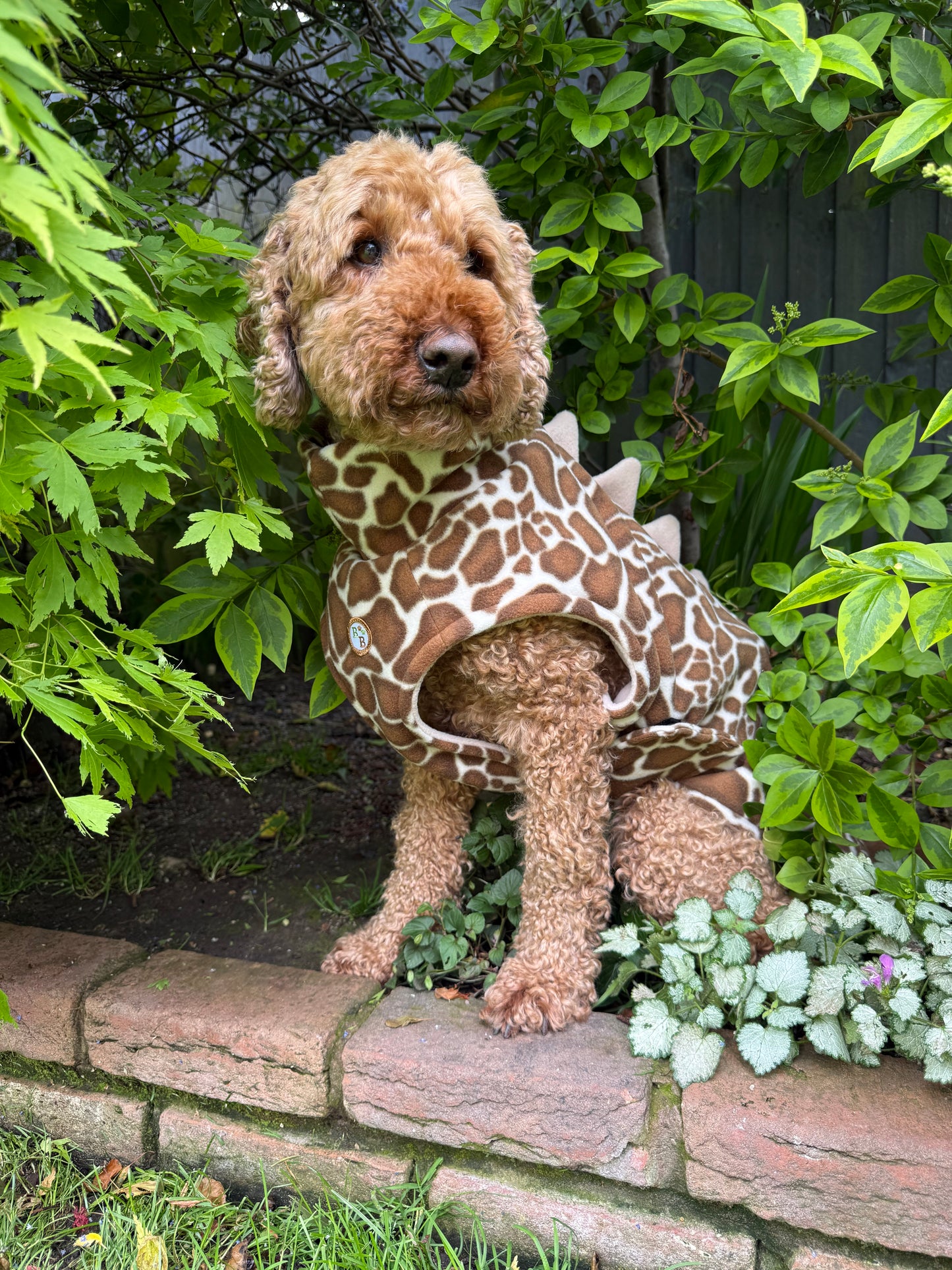 Giraffe print fleece Dino Coat