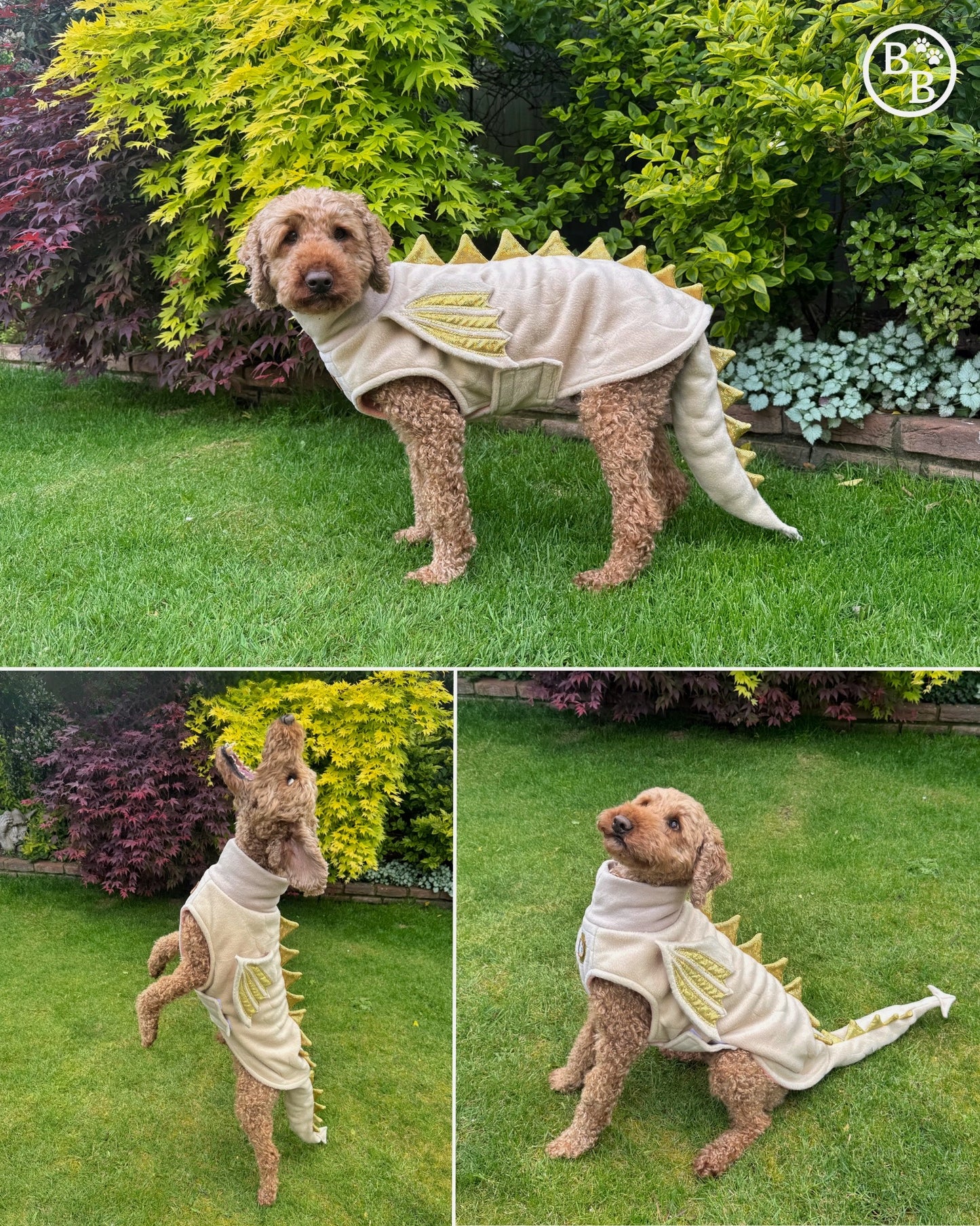 S/M Limited Edition Sparkle Dragon Coat with Wings & detachable tail  (ONLY 1 AVAILABLE)