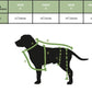 Chihuahua Limited Edition Sparkly Dragon Coat with Wings & detachable tail  (ONLY 1 AVAILABLE)