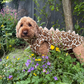 S/M Giraffe pattern Dino with Beige spikes(only one ready-made)