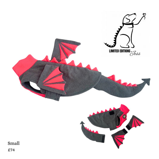 Small Limited Edition Dragon Coat with detachable Wings and detachable tail  (ONLY 1 AVAILABLE)