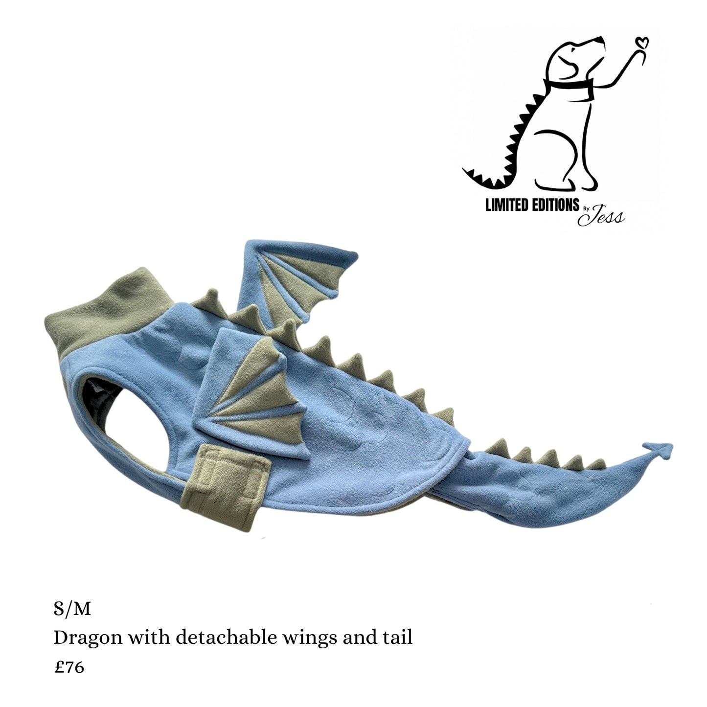 S/M Limited Edition Dragon Coat with detachable Wings and tail (ONLY 1 AVAILABLE)