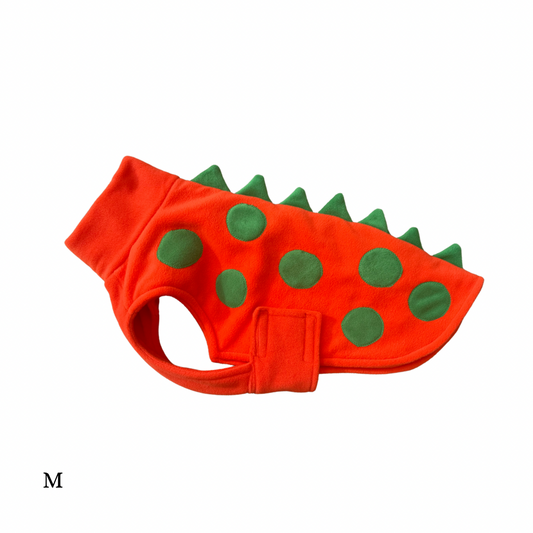 M Dino Coat