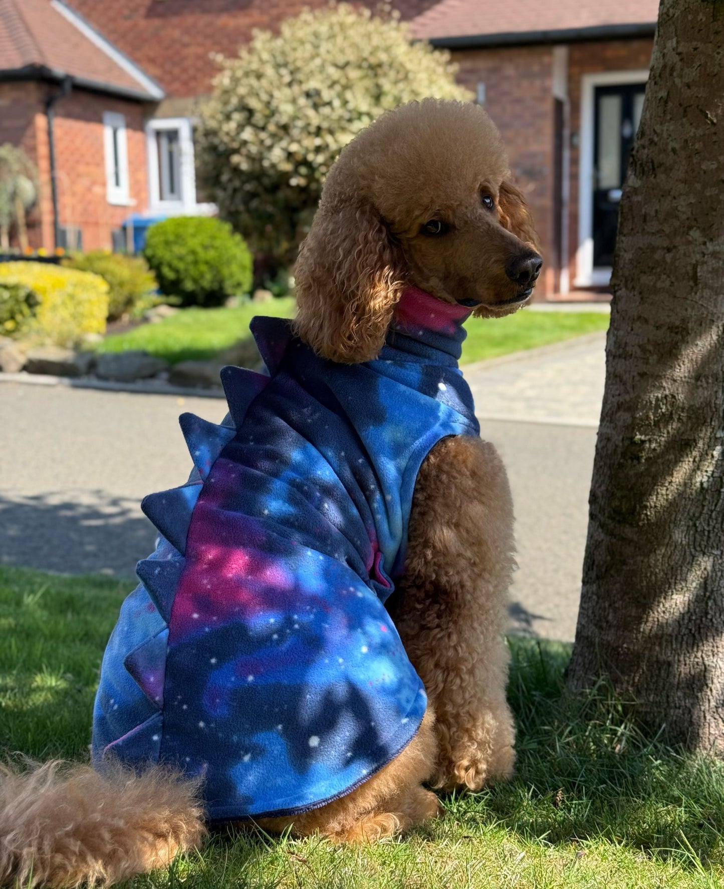 The Luna  Drying Coat