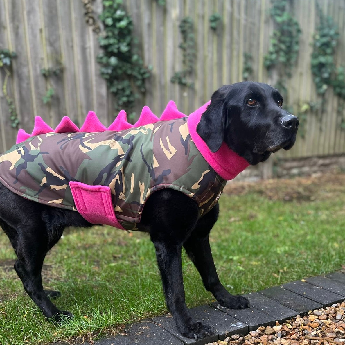 Waterproof Dino coat Camo