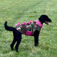 Waterproof Dino coat Camo
