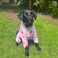 Pink with Hearts  fleece pyjamas with Contrast Spikes