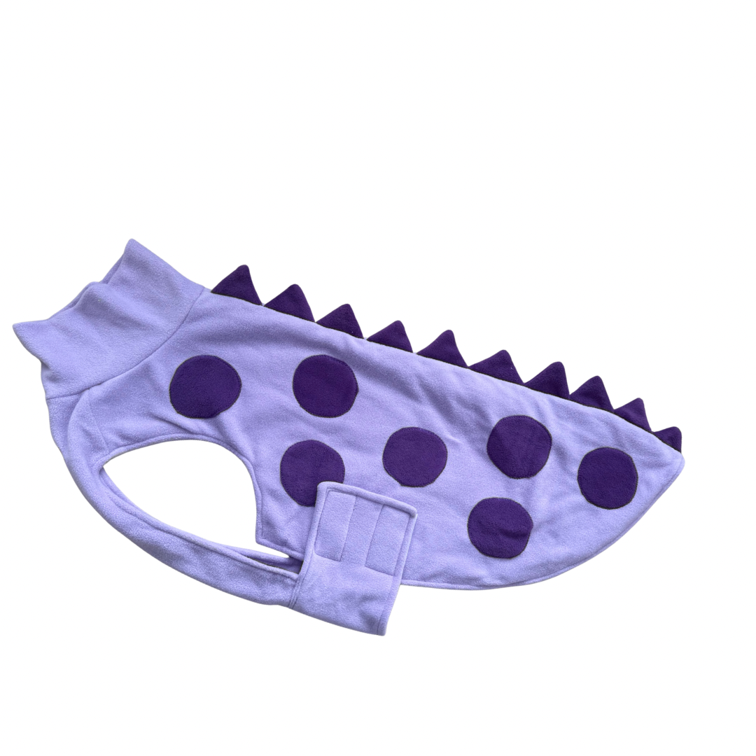 Large Dino coats (various colours)