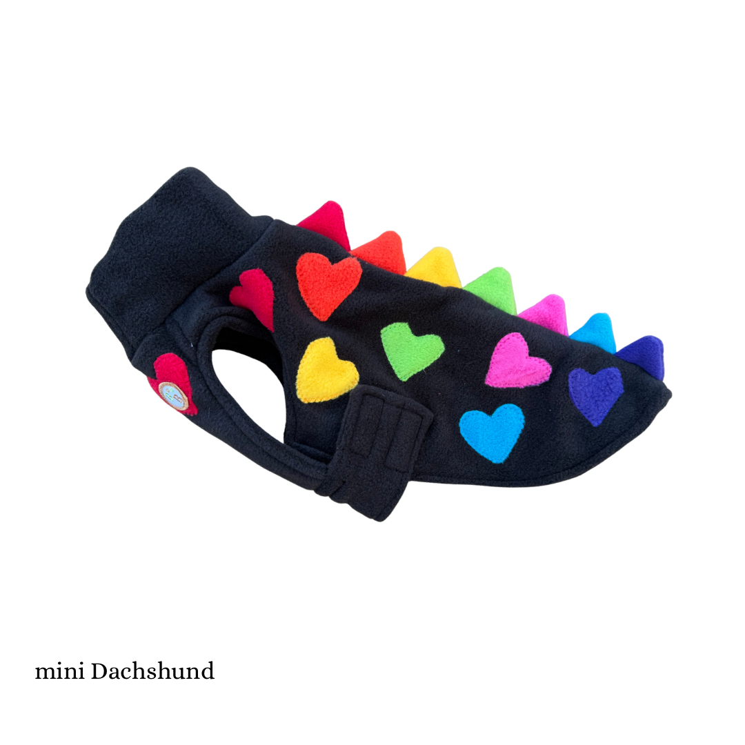 Mini Dachshund Dino coats (various colours)