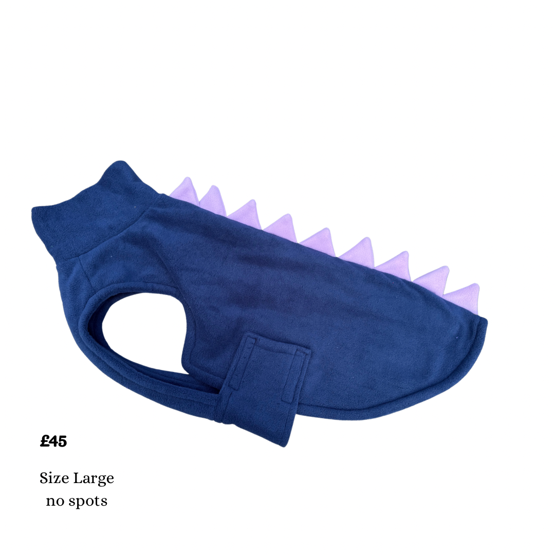 Large Dino coats (various colours)