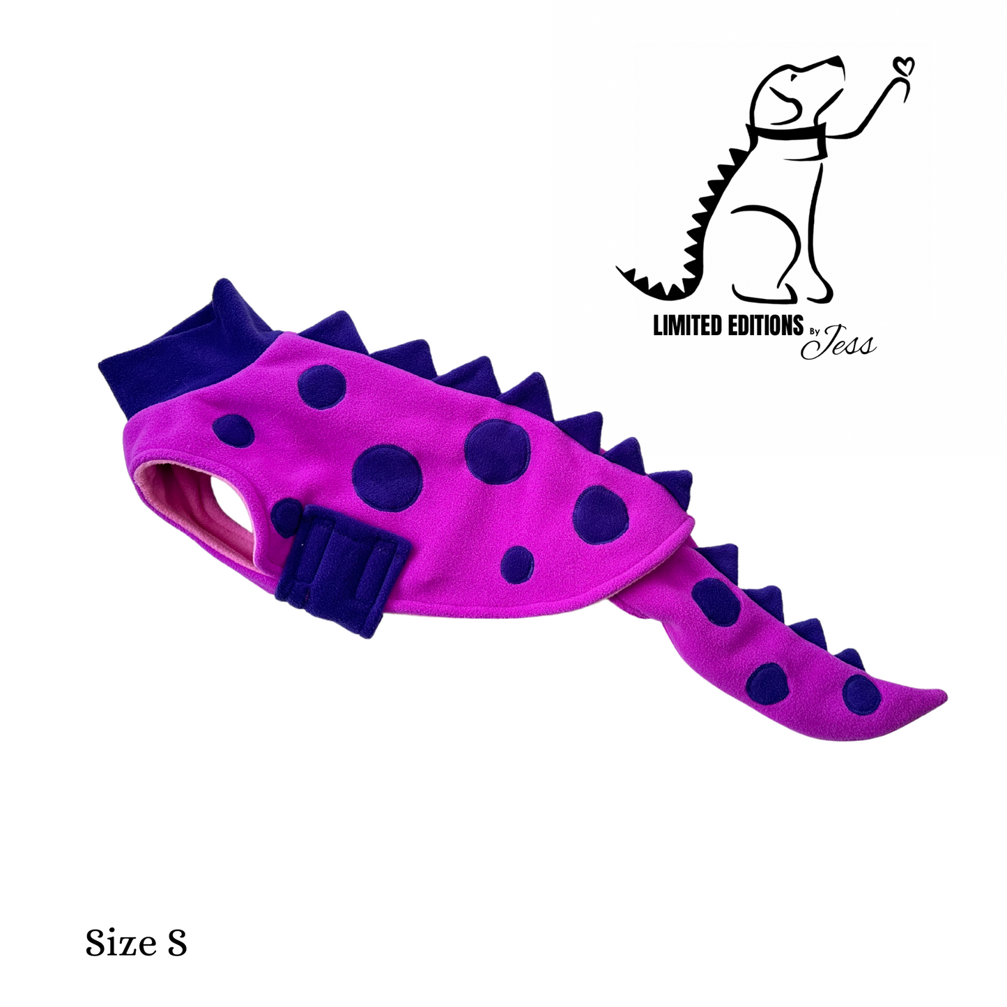 Small Limited Edition Dino Coat with detachable tail (ONLY 1 AVAILABLE)