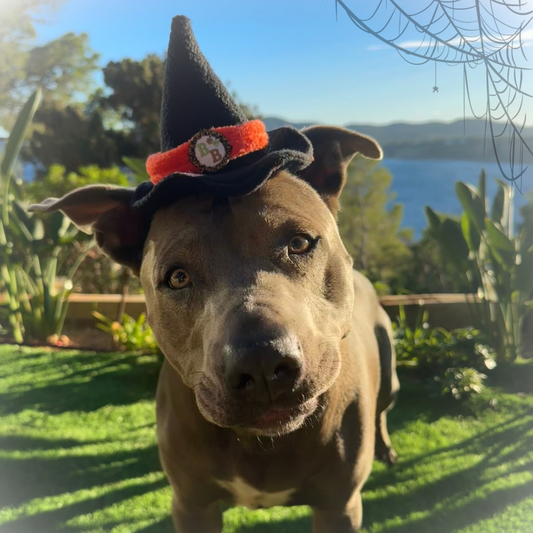 Halloween Snoods/ witches hats