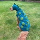 Dinosaur Snood