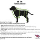 Dinosaur Fleece Jumper *