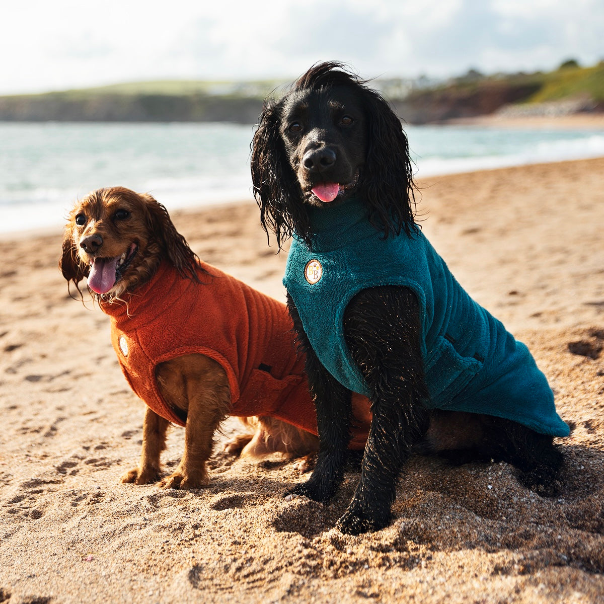 Drying coats hot sale for dogs