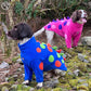 Barker and Browns Bespoke made to measure original Dinosaur dog jumper