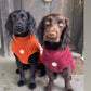 Barker and Browns Bespoke made to measure Bamboo towelling dog coat 