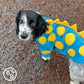 Barker and Browns Bespoke made to measure original Dinosaur dog jumper