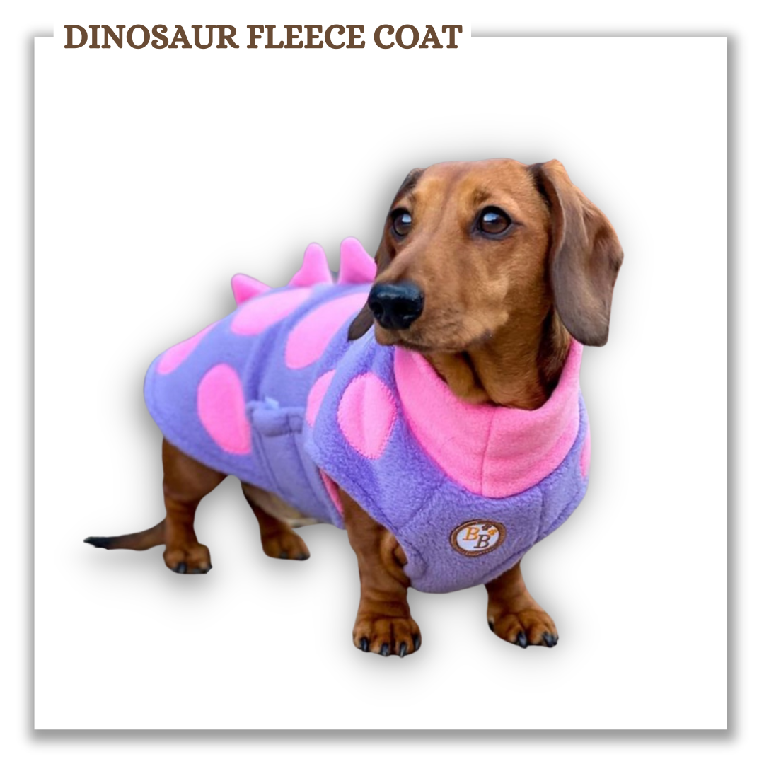 Dinosaur Fleece Coat