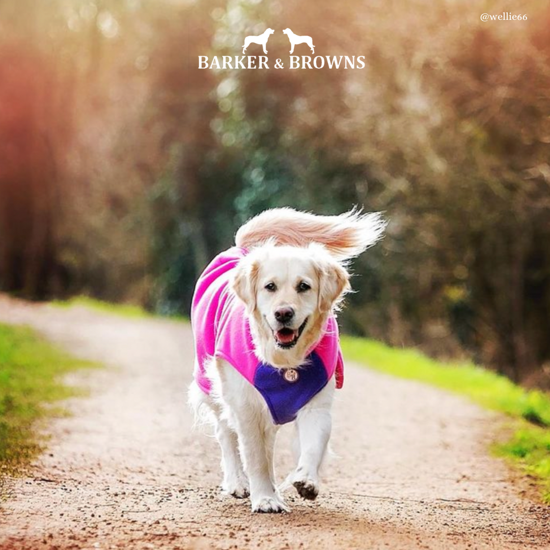 Tricolour Dog Fleece Coat BarkerandBrowns