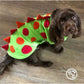 Barker and Browns Bespoke made to measure original Dinosaur dog coat