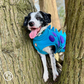 Barker and Browns Bespoke made to measure original Dinosaur dog coat