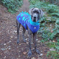 Barker and Browns Bespoke made to measure original Dinosaur dog coat
