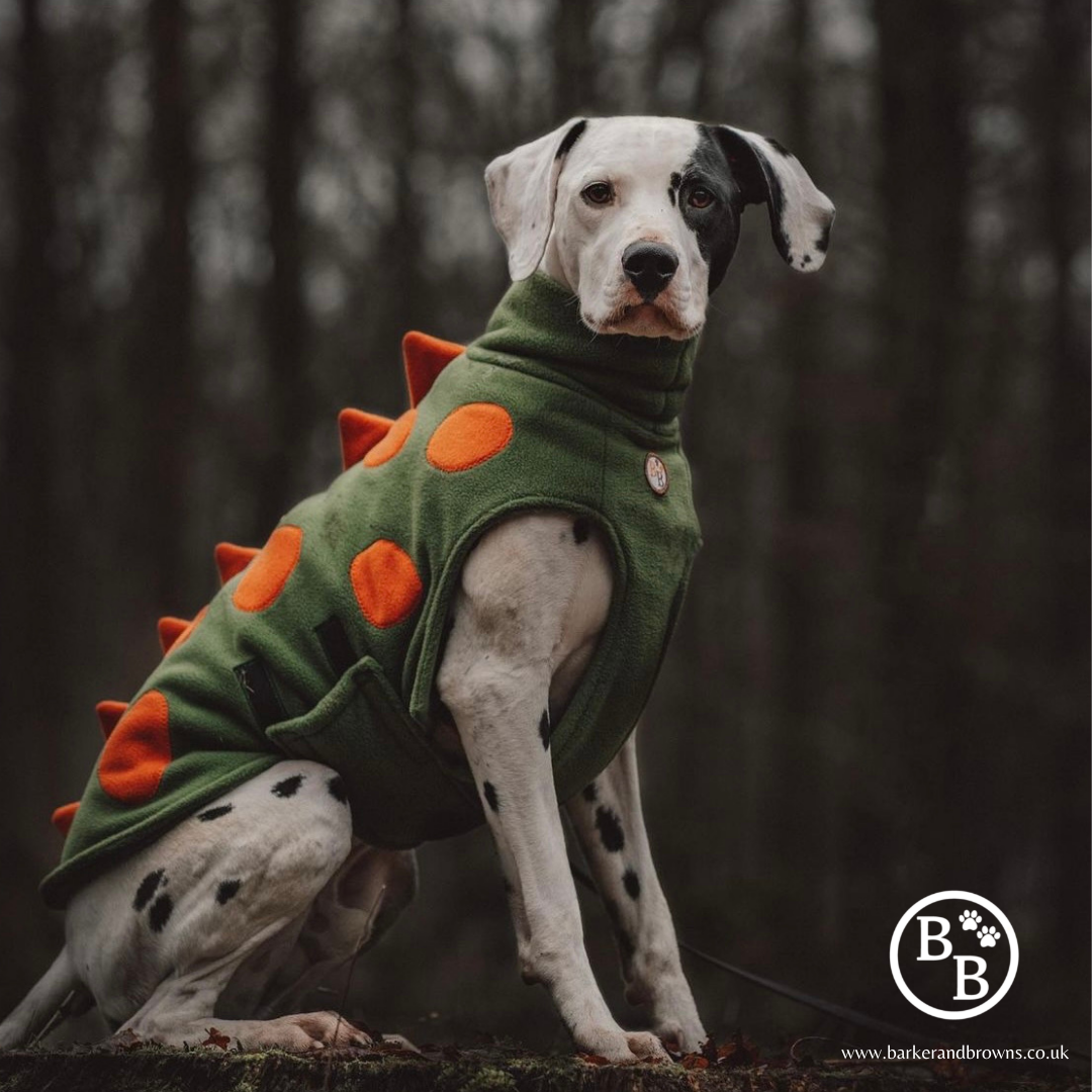 Dinosaur Fleece Coat BarkerandBrowns
