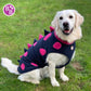 Barker and Browns Bespoke made to measure original Dinosaur dog coat