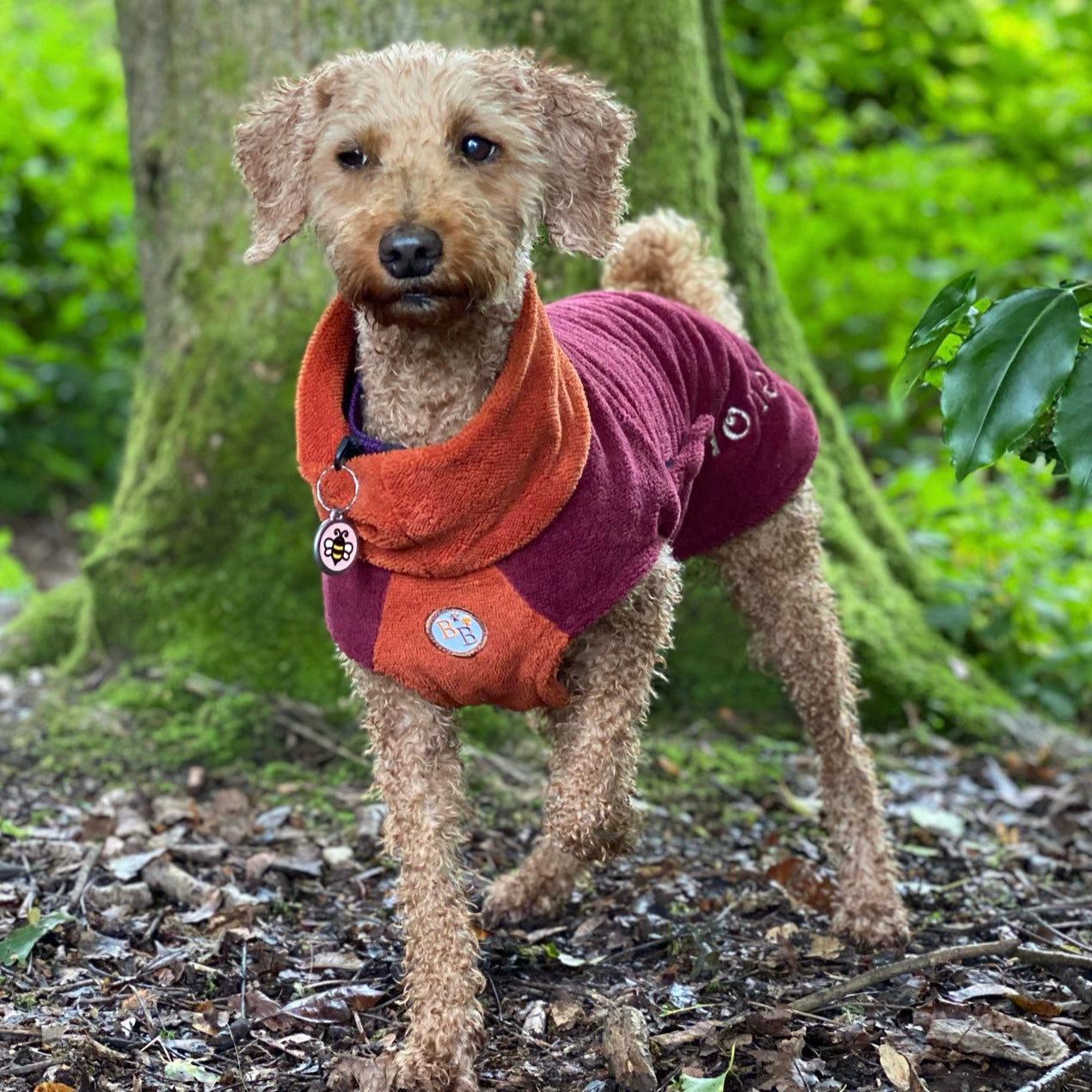 Barker and Browns Bespoke made to measure Bamboo towelling dog coat 