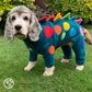 Barker and Browns Bespoke made to measure original Dinosaur dog jumper