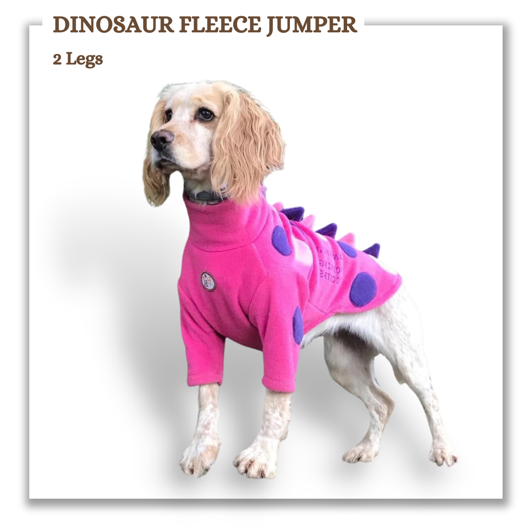 Dinosaur Fleece Jumper