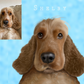 Hand Drawn Digital Pet Portrait