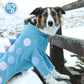 Barker and Browns Bespoke made to measure original Dinosaur dog jumper