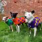 Barker and Browns Bespoke made to measure original Dinosaur dog coat