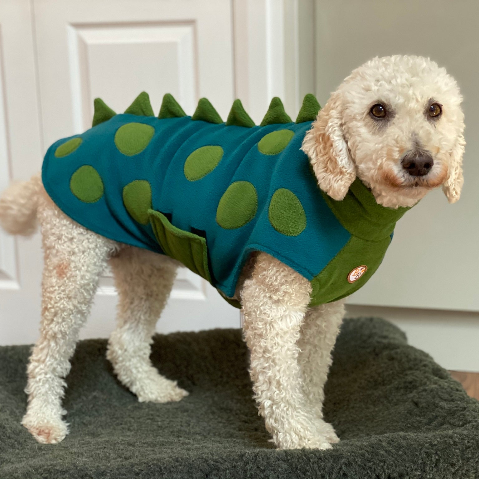 Fleece coat best sale for dogs