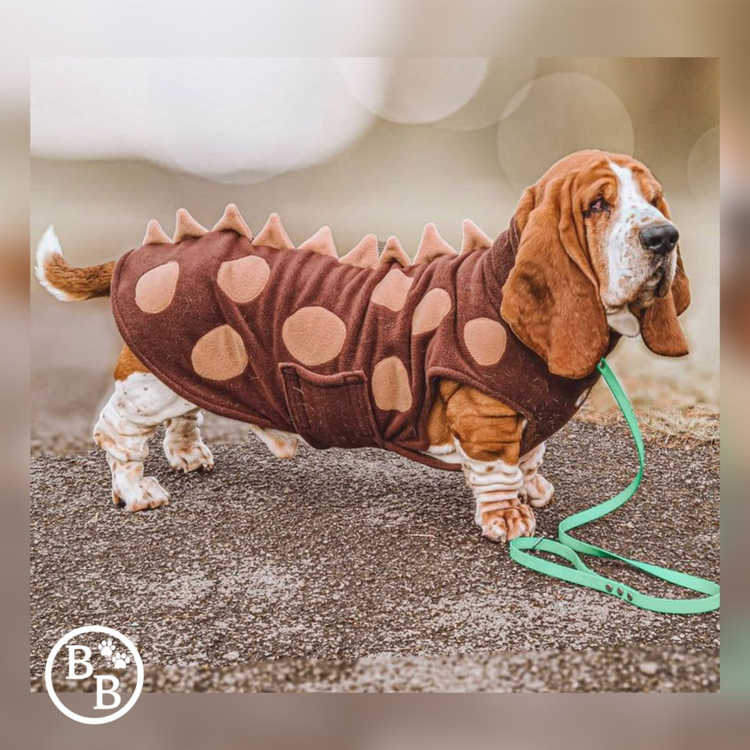 Barker and Browns Bespoke made to measure original Dinosaur dog coat
