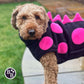 Barker and Browns Bespoke made to measure original Dinosaur dog coat