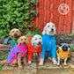 Barker and Browns Bespoke made to measure original Dinosaur dog coat