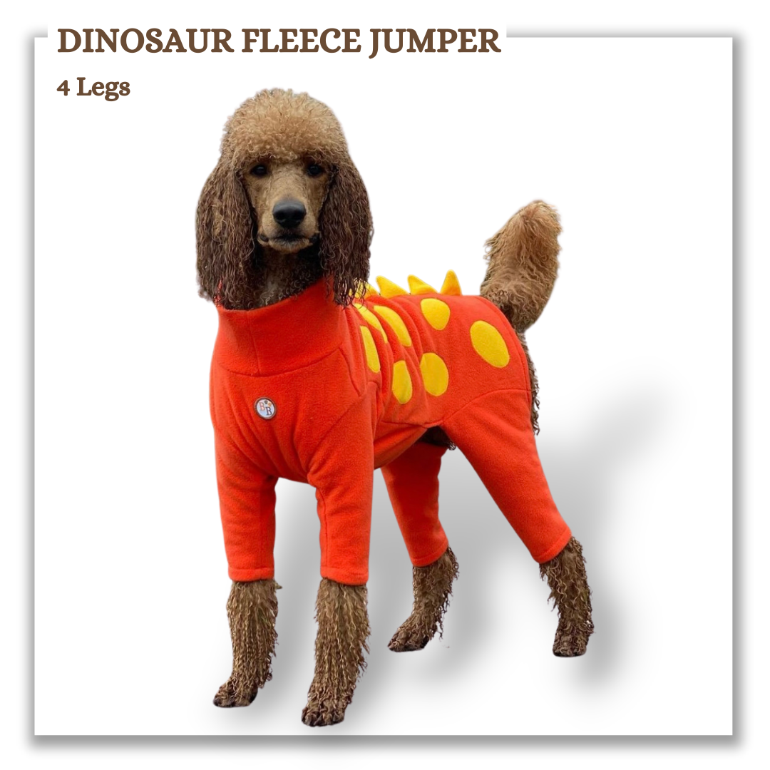 Dinosaur Fleece Jumper