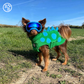 Barker and Browns Bespoke made to measure original Dinosaur dog coat