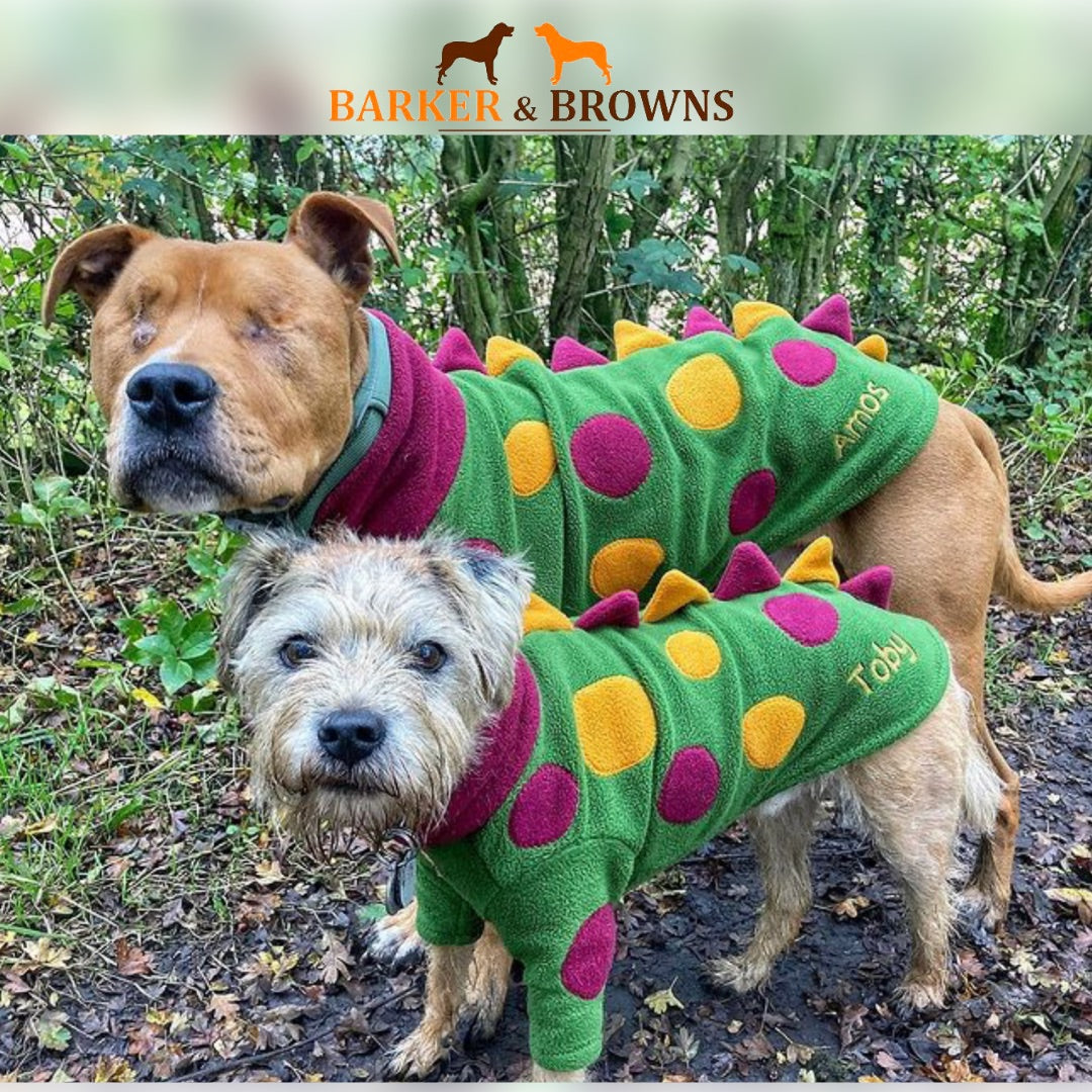 Dog sales dinosaur sweater